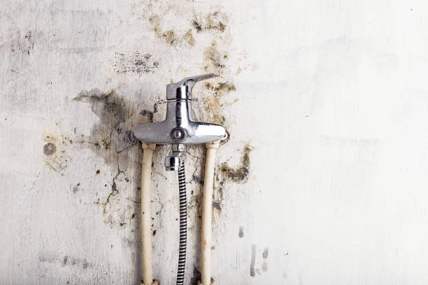 Mold Testing and Removal in Balmville, NY