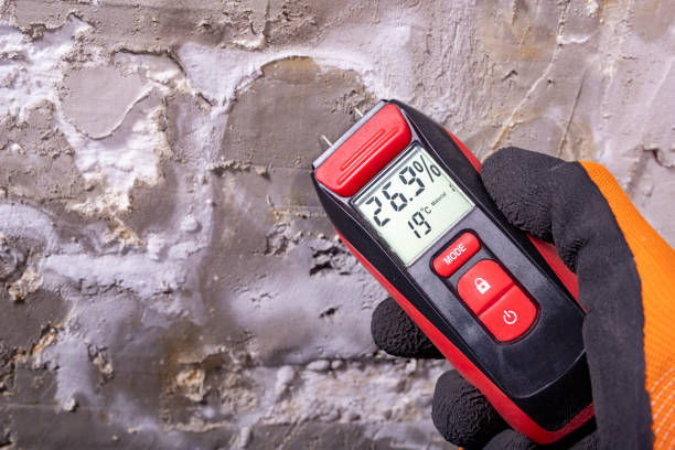 Best Local Mold Removal Service  in Balmville, NY