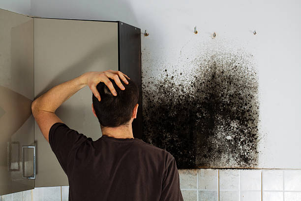 Best Crawl Space Mold Removal  in Balmville, NY